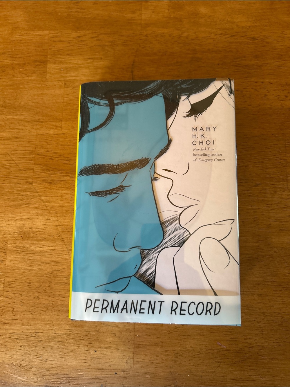 Permanent Record - Blue and Cream Hardcover by